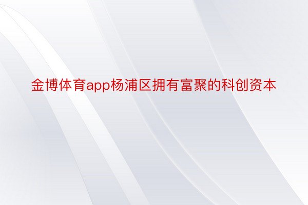 金博体育app杨浦区拥有富聚的科创资本