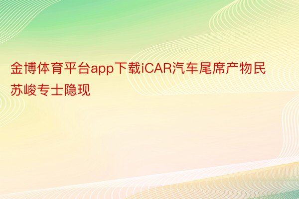 金博体育平台app下载iCAR汽车尾席产物民苏峻专士隐现